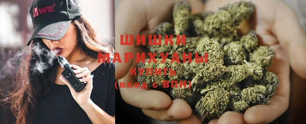 дмт Алзамай