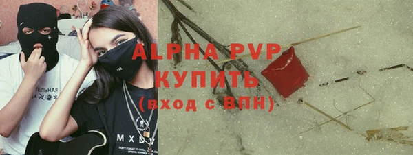 стаф Алексин